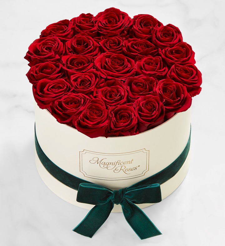 Magnificent Roses® Preserved Christmas Red Roses